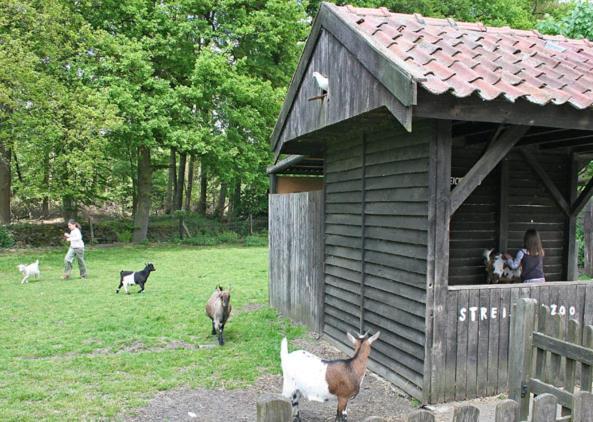 ランド-グ－ト ホテル リッター Stadtlohn エクステリア 写真
